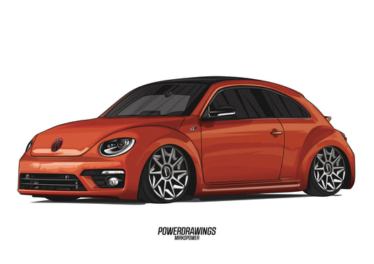 Beetle R Bagged